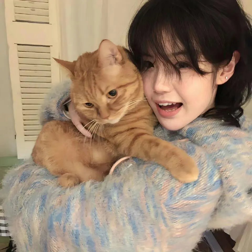 关于莉莉周的一切